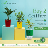 Buy 2 Get 1 Free – Self-Watering Pot Set with Water Indicator